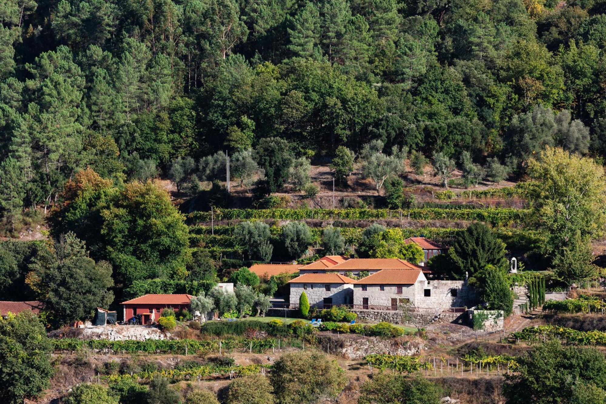 Quinta Da Pousadela - Agroturismo Amarante Exterior foto